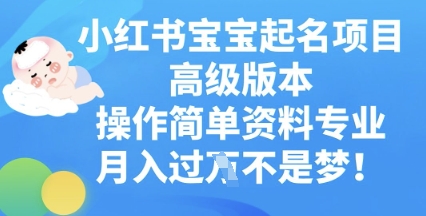 小红书宝宝起名项目高级版本，操作简单，资料专业，月入过W-戎耀联盟