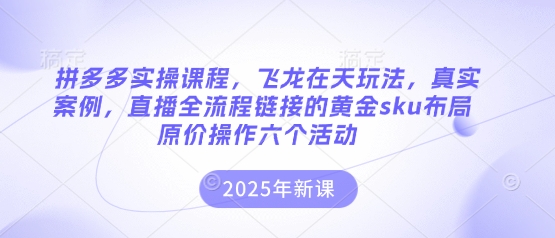 拼多多实操课程，飞龙在天玩法，真实案例，直播全流程链接的黄金sku布局原价操作六个活动-戎耀联盟