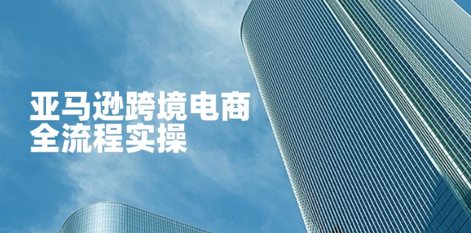 （14252期）亚马逊跨境电商全流程实操，教你从零开始，掌握店铺运营与广告技巧-戎耀联盟