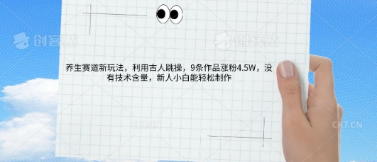 AI养生赛道新玩法，10条作品涨粉5.2W，操作简单，新人小白能轻松制作-戎耀联盟