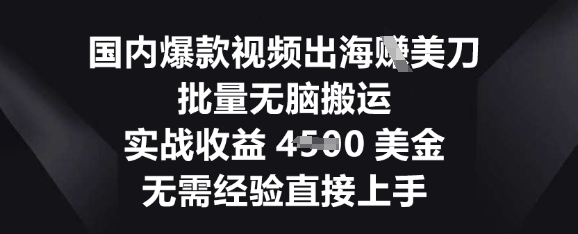 国内爆款视频出海挣美刀，批量无脑搬运，实战收益4.5k，无需经验直接上手-戎耀联盟
