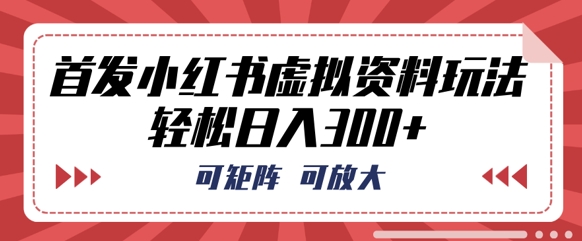 首发小红书虚拟资料玩法，可矩阵，可放大，轻松日入3张-戎耀联盟