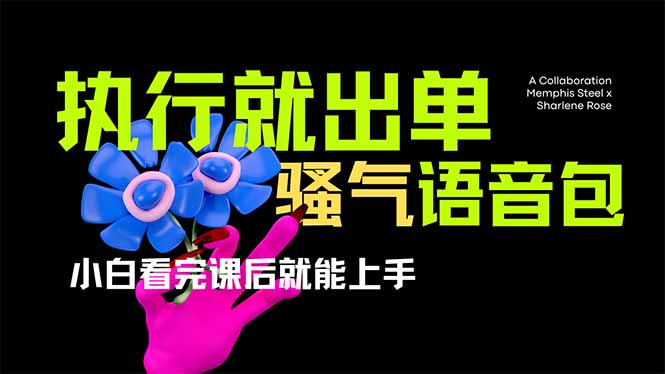 （14170期）爆火全网的开车导航骚气语音包,只要执行就出单，小白看完课程就能实操…-戎耀联盟